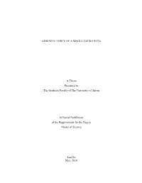 ADHESIVE FORCE of a SINGLE GECKO SETA a Thesis Presented