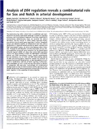 Analysis of Dll4 Regulation Reveals a Combinatorial Role for Sox and Notch in Arterial Development