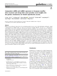 Comparative Mrna and Mirna Expression in European