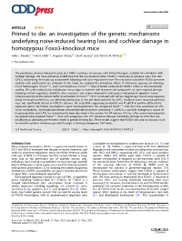 S41419-021-03972-6.Pdf