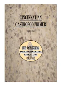 CINCINNATIAN GASTROPOD PRIMER by Ron Fine HOW DO SCIENTISTS CLASSIFY GASTROPODS?