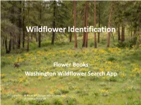 Using the Tools for Plant ID