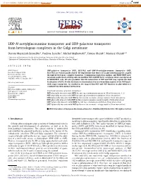 UDP-N-Acetylglucosamine Transporter and UDP-Galactose Transporter
