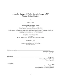 Modular Design of Coiled Coils to Target Bzip Transcription Factors