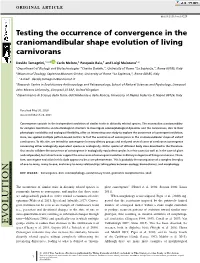 Testing the Occurrence of Convergence in the Craniomandibular Shape Evolution of Living Carnivorans