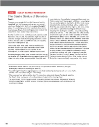 The Gentle Genius of Bonobos Part 1 More Sticks, Too