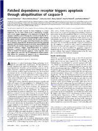 Patched Dependence Receptor Triggers Apoptosis Through Ubiquitination of Caspase-9