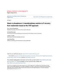 A Transdisciplinary Solution to P Recovery from Wastewater Based on the TRIZ Approach