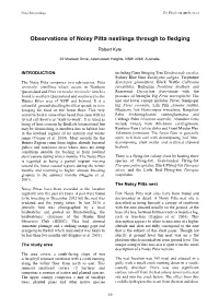 Observations of Noisy Pitta Nestlings Through to Fledging