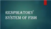Respiratory Mechanism in Fishes ❑ at the Beginning Operculam Is Closed and Mouth Is Opened by the Action of Elevator Muscle