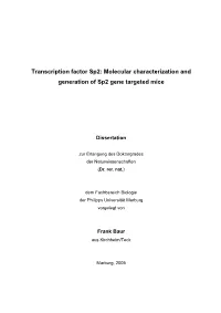 Molecular Characterization and Generation of Sp2 Gene Targeted Mice