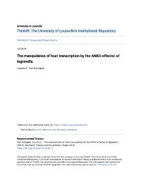 The Manipulation of Host Transcription by the ANKH Effector of Legionella