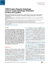 TRIM Proteins Regulate Autophagy and Can Target Autophagic Substrates by Direct Recognition
