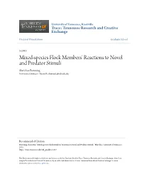 Vocal Behavior Is Correlated with Mixed-Species’ Reactions to Novel Objects