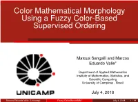 Color Mathematical Morphology Using a Fuzzy Color-Based Supervised Ordering