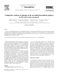 Comparative Analysis of Mutants in the Mycothiol Biosynthesis Pathway in Mycobacterium Smegmatis