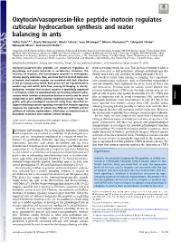 Oxytocin/Vasopressin-Like Peptide Inotocin Regulates Cuticular Hydrocarbon Synthesis and Water Balancing in Ants