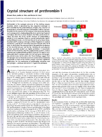 Crystal Structure of Prethrombin-1