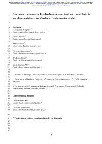 Expression Variations in Ectodysplasin-A Gene (Eda) May Contribute To