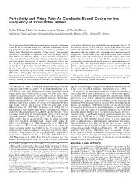 Periodicity and Firing Rate As Candidate Neural Codes for the Frequency of Vibrotactile Stimuli