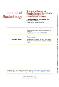 Scrofulaceum Isolates. and Mycobacterium Mycobacterium