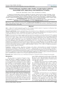Pasteurellaceae Members with Similar Morphological Patterns Associated with Respiratory Manifestations in Ducks