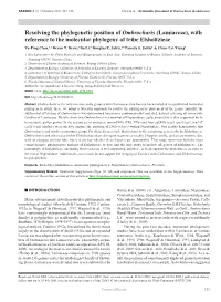 Resolving the Phylogenetic Position of &lt;I&gt;Ombrocharis&lt;/I&gt; (Lamiaceae), with Reference to the Molecular Phylogeny Of