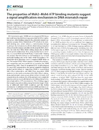 The Properties of Msh2–Msh6 ATP Binding Mutants Suggest a Signal