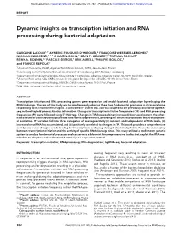 Dynamic Insights on Transcription Initiation and RNA Processing During Bacterial Adaptation