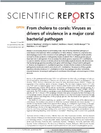 Viruses As Drivers of Virulence in a Major Coral Bacterial Pathogen Received: 17 June 2015 1 2 2 1,3,4 Accepted: 09 November 2015 Karen D