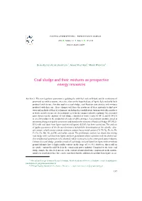 Coal Sludge and Their Mixtures As Prospective Energy Resources