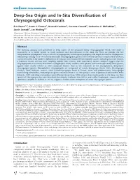 Deep-Sea Origin and In-Situ Diversification of Chrysogorgiid Octocorals