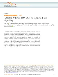 Galectin-9 Binds Igm-BCR to Regulate B Cell Signaling
