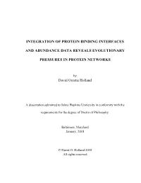 Integration of Protein Binding Interfaces and Abundance