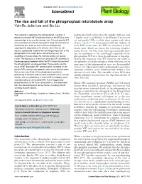 The Rise and Fall of the Phragmoplast Microtubule Array