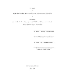 A Thesis Entitled Phor, Phop and Mshc