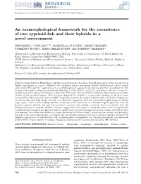 An Ecomorphological Framework for the Coexistence of Two Cyprinid Fish