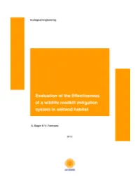 Ecological Engineering 53 (2013) 31–38