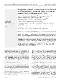 Polyphasic Evidence Supporting the Reclassification of Bradyrhizobium Japonicum Group Ia Strains As Bradyrhizobium Diazoefficiens Sp