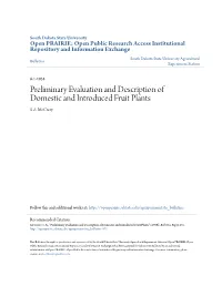 Preliminary Evaluation and Description of Domestic and Introduced Fruit Plants S