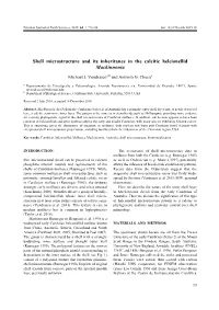 Shell Microstructure and Its Inheritance in the Calcitic Helcionellid Mackinnonia