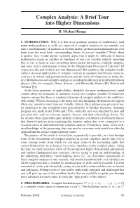 Complex Analysis: a Brief Tour Into Higher Dimensions