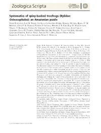 Systematics of Spinybacked Treefrogs (Hylidae