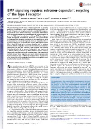BMP Signaling Requires Retromer-Dependent Recycling of the Type I Receptor