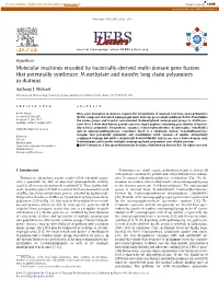 Molecular Machines Encoded by Bacterially-Derived Multi-Domain Gene Fusions That Potentially Synthesize, N-Methylate and Transfer Long Chain Polyamines in Diatoms