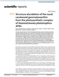 Structure Elucidation of the Novel Carotenoid
