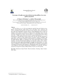 Taxonomy of Benthic Macroinvertebrates in Jajrud River for Water Quality Assessment