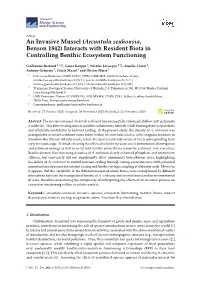 An Invasive Mussel (Arcuatula Senhousia, Benson 1842) Interacts with Resident Biota in Controlling Benthic Ecosystem Functioning