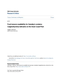 Food Resource Availability for Carnaby's Cockatoo Calyptorhynchus Latirostris on the Swan Coast Plain