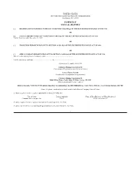 Form 20-F Annual Report